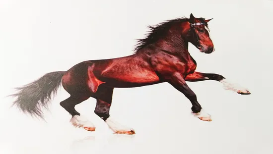 3mm 0.3alu Aluminum Composite Panel Printable Glossy Matt Color